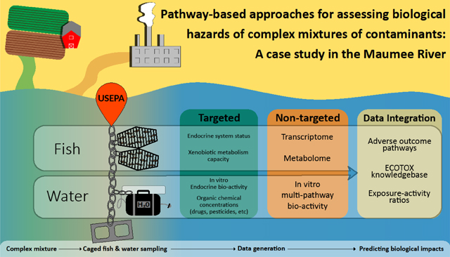 graphic file with name nihms-1688153-f0012.jpg