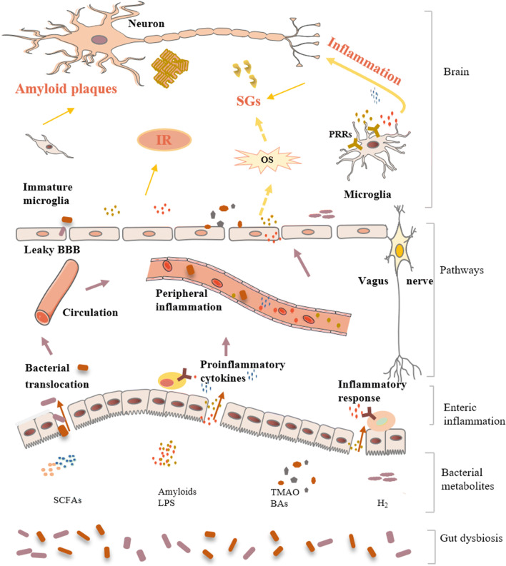 Fig. 3