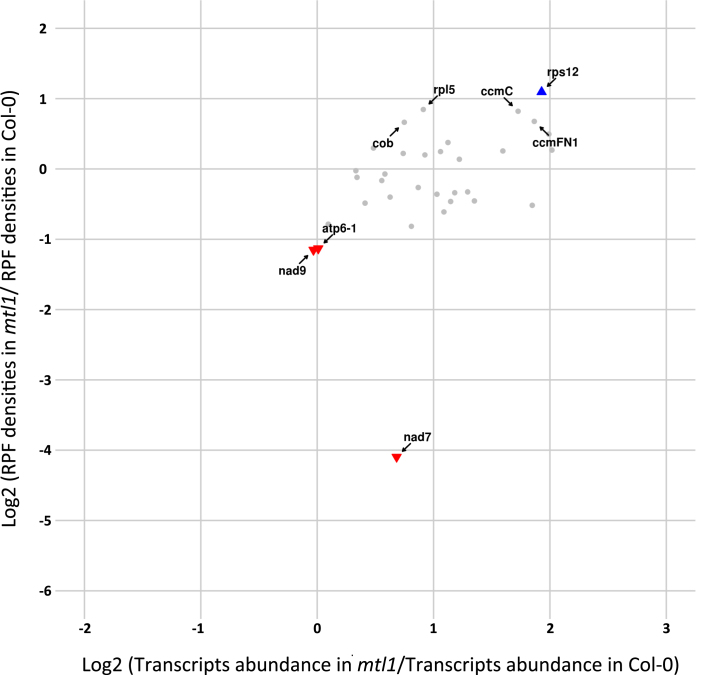 Figure 5.