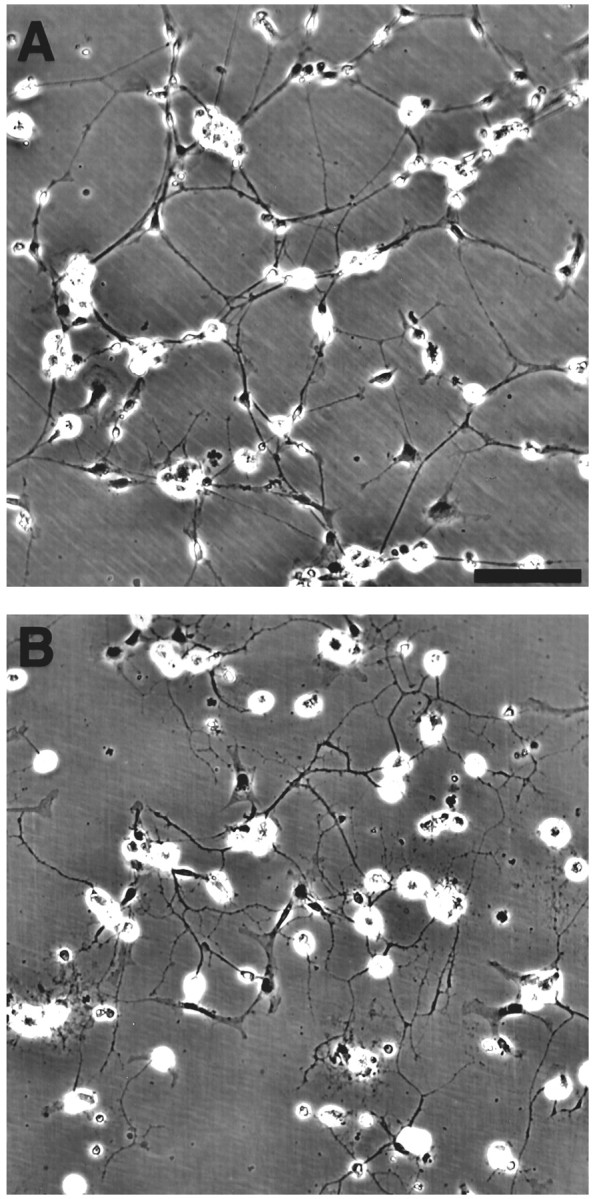 Fig. 10.