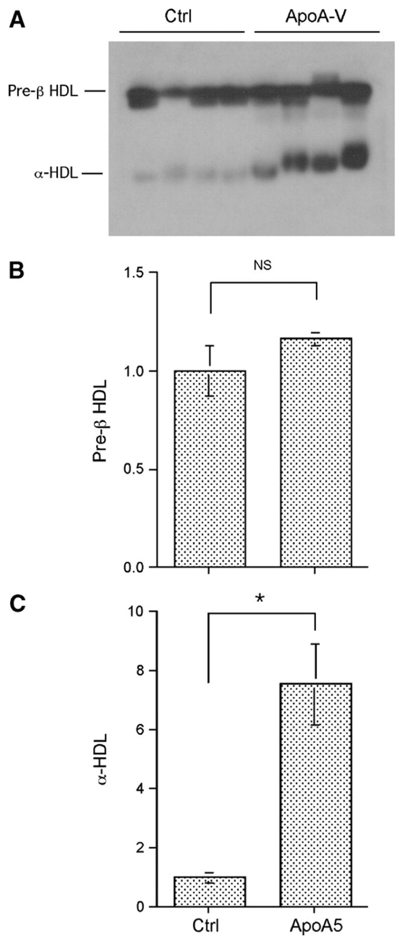 Fig. 5