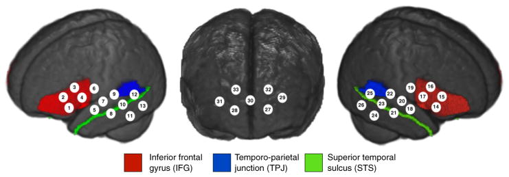 Fig. 5