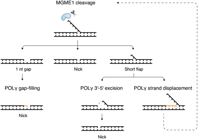 Figure 5.