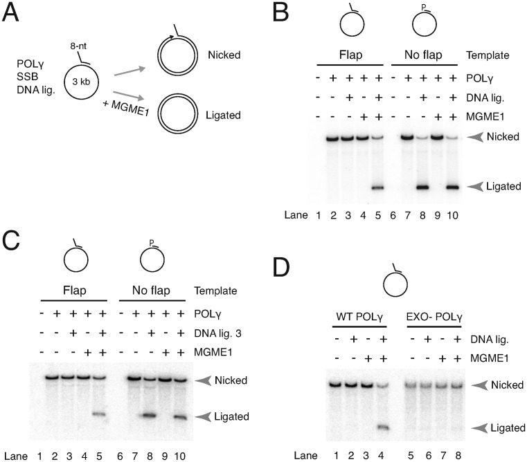 Figure 3.