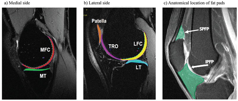 Figure 1: