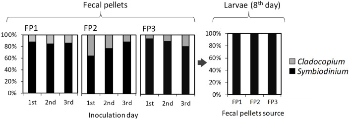 Fig 5