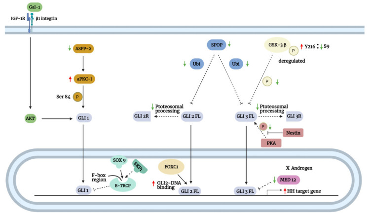 Figure 7