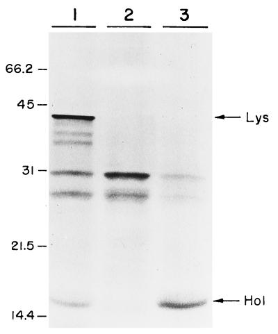 FIG. 6