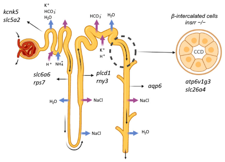 Figure 7