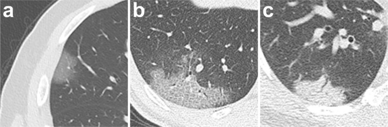 Figure 2: