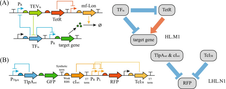 Fig. 7