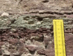 graphic file with name 41598_2024_54027_Figa_HTML.gif