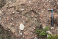 graphic file with name 41598_2024_54027_Figt_HTML.gif