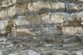 graphic file with name 41598_2024_54027_Figh_HTML.gif