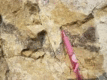 graphic file with name 41598_2024_54027_Figo_HTML.gif