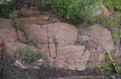 graphic file with name 41598_2024_54027_Figr_HTML.gif