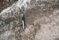 graphic file with name 41598_2024_54027_Figm_HTML.gif