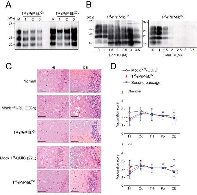 FIG 6