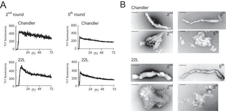 FIG 2