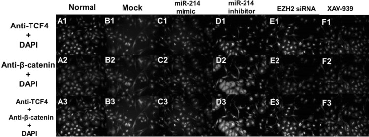 Fig. 6