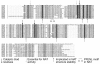 Fig. (7). Alignment of putative Amide Synthetase protein sequences.