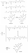 Fig. (6). The reactions leading to the synthesis of Geldanamycin by amide ring closure.