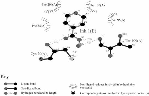 Fig. (4). Interactions of isoniazid with the active site of NAT from M. smegmatis.