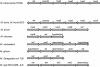 Fig. (2). Comparison of the operon organization of mycobacterial species.