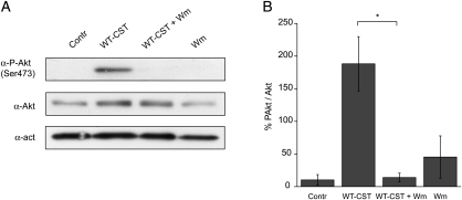 Figure 5