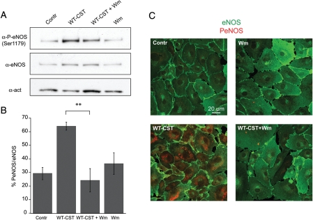 Figure 6