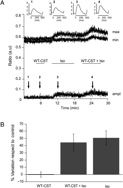 Figure 3