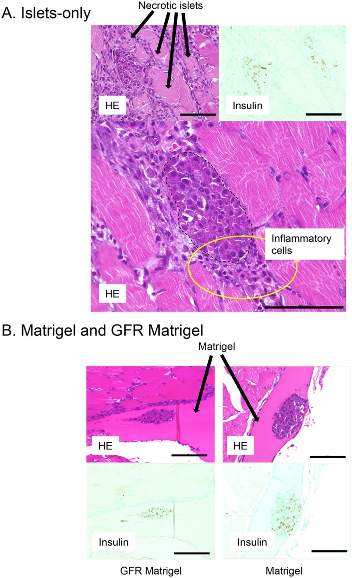 Fig 5