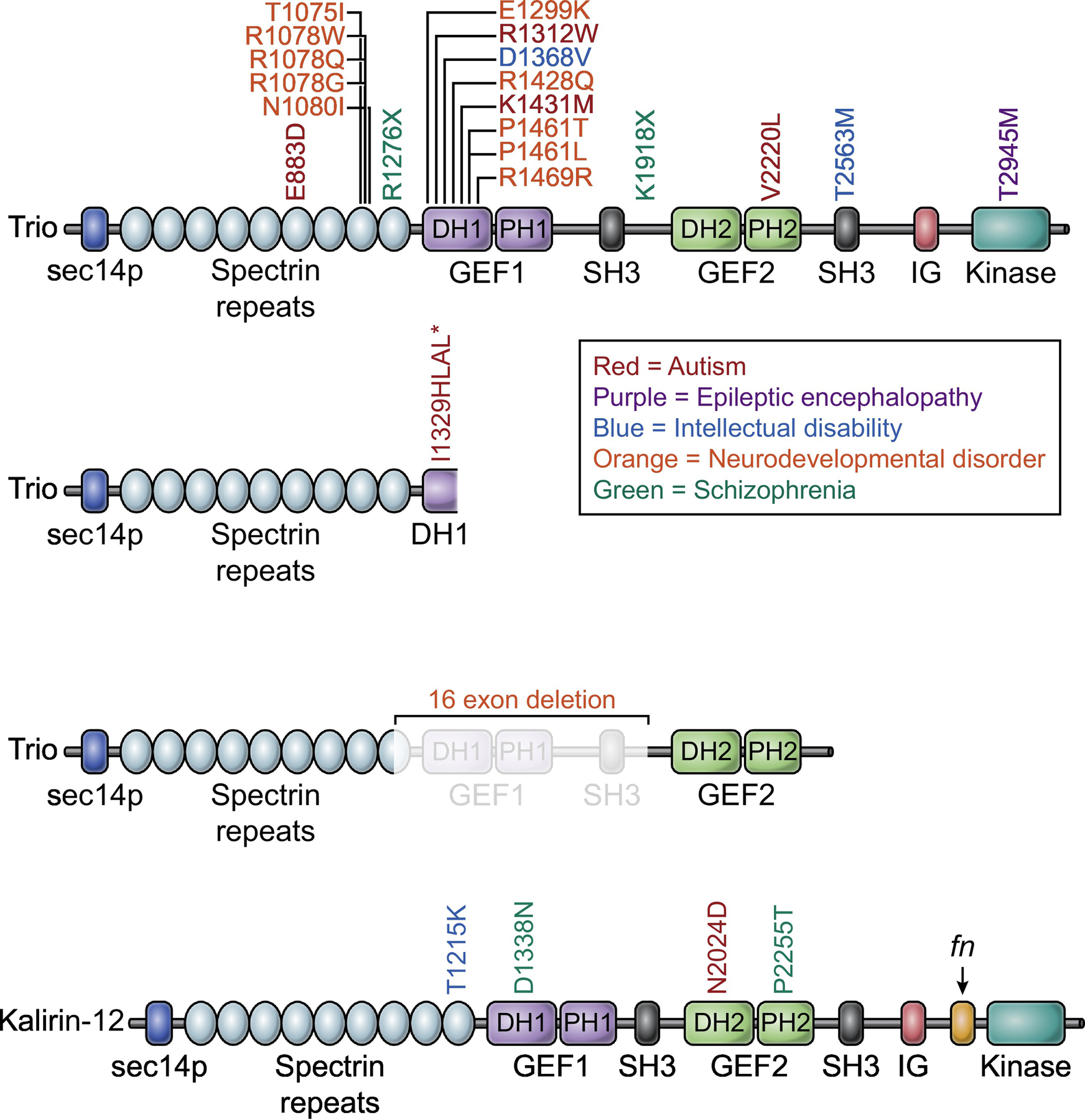 Figure 3: