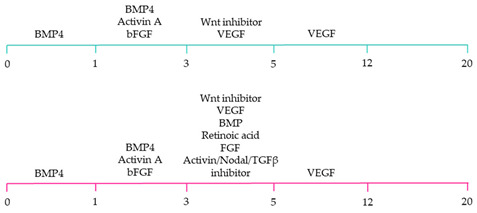 graphic file with name ijms-22-03005-i010.jpg