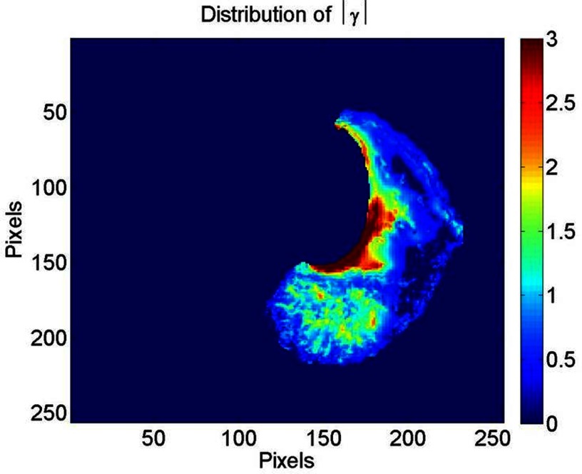 Figure 6