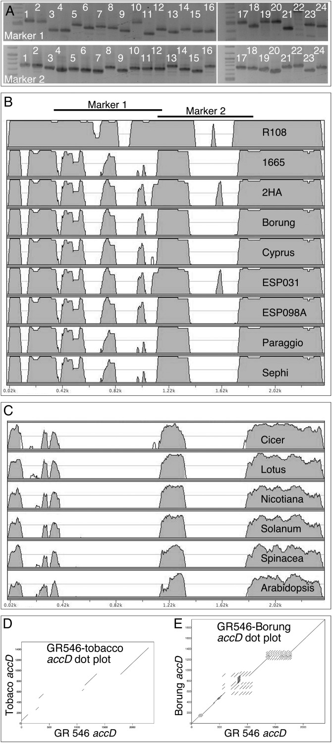 Figure 4.