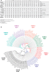 F<sc>ig</sc>. 1.—