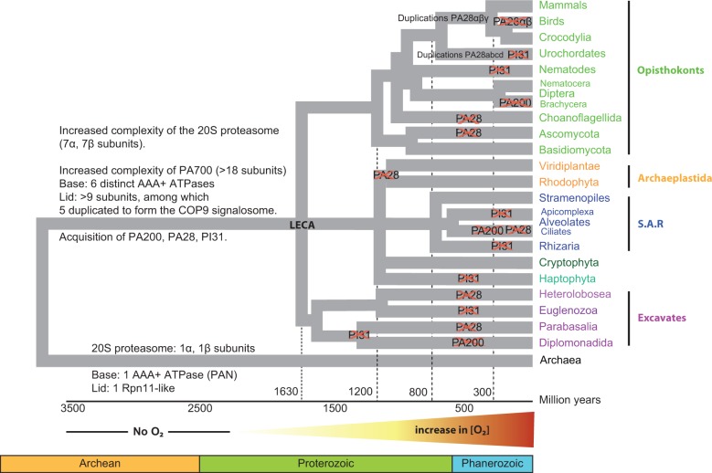 Fig. 7.—