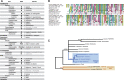 F<sc>ig</sc>. 5.—