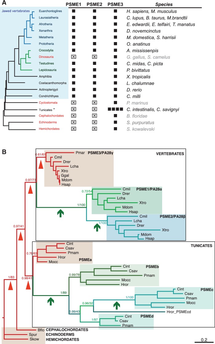 Fig. 6.—