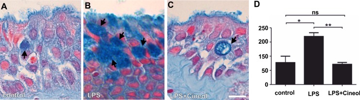 Fig 2