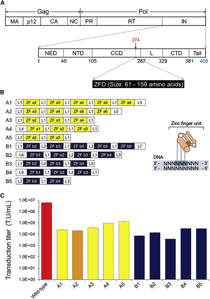 Figure 1