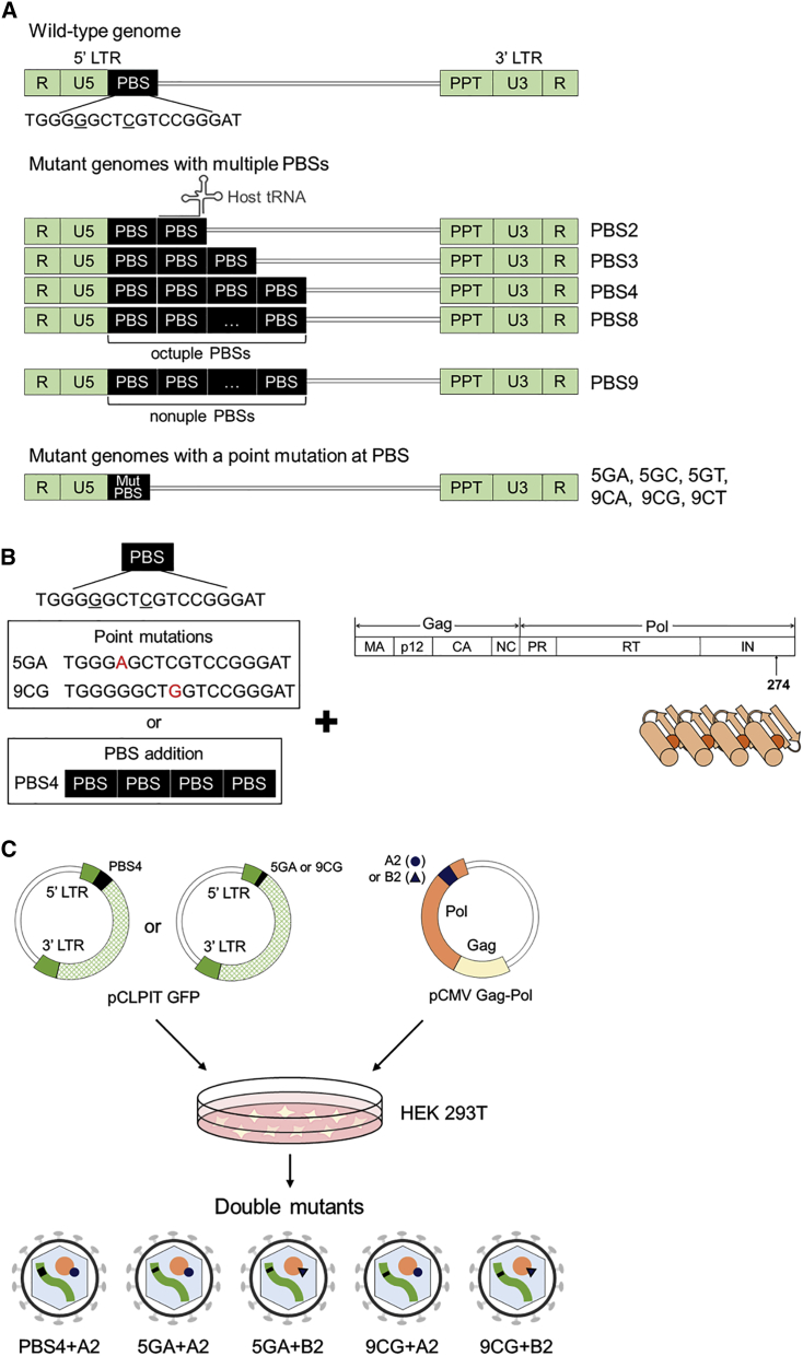 Figure 6