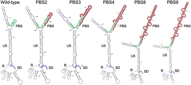 Figure 7