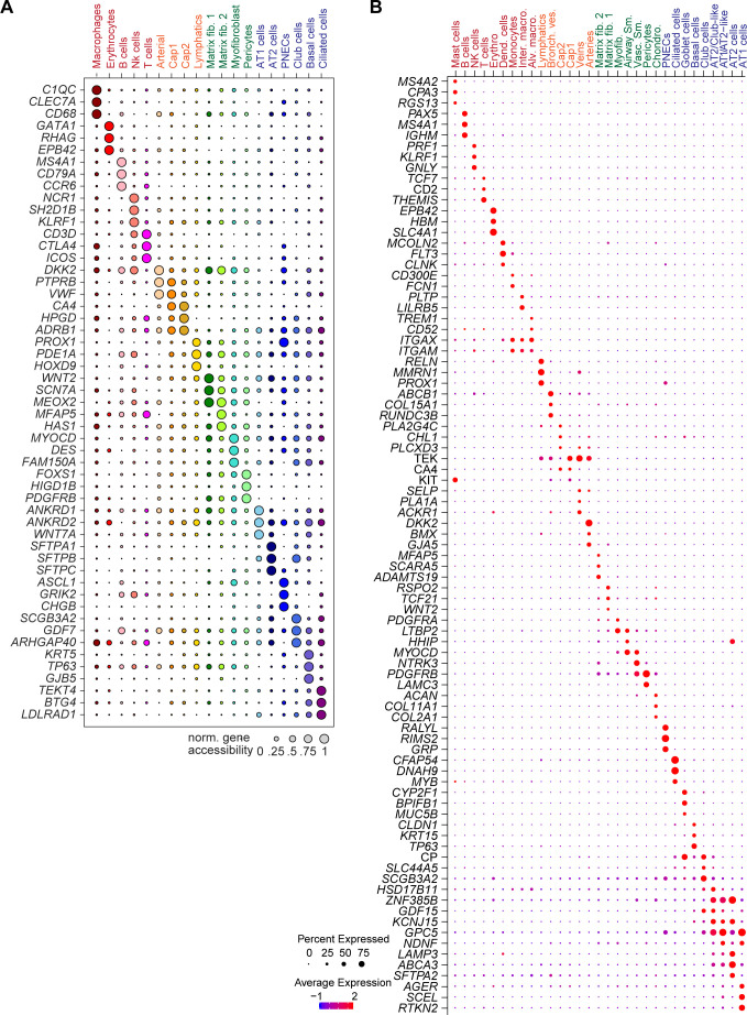 Figure 1—figure supplement 2.