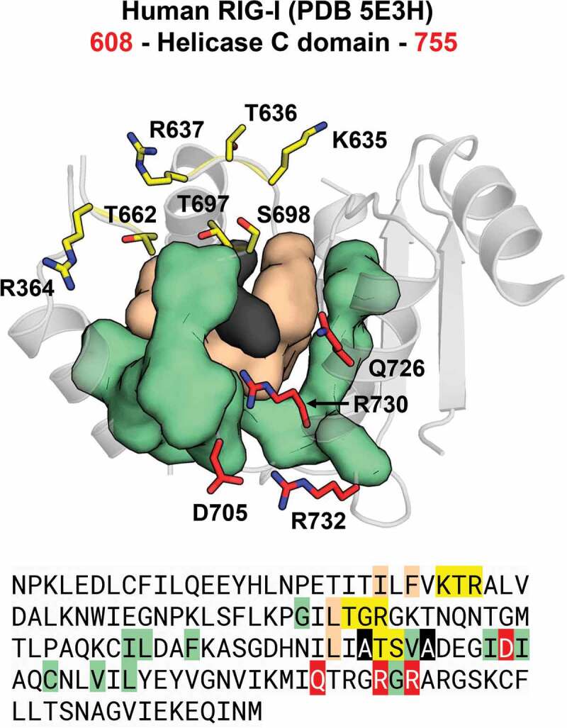 Figure 12.