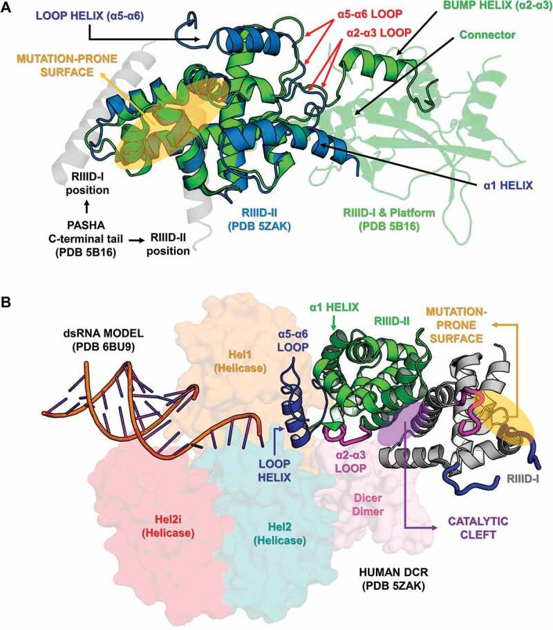 Figure 10.