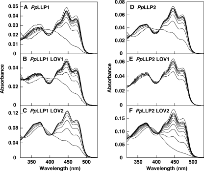 FIGURE 7.