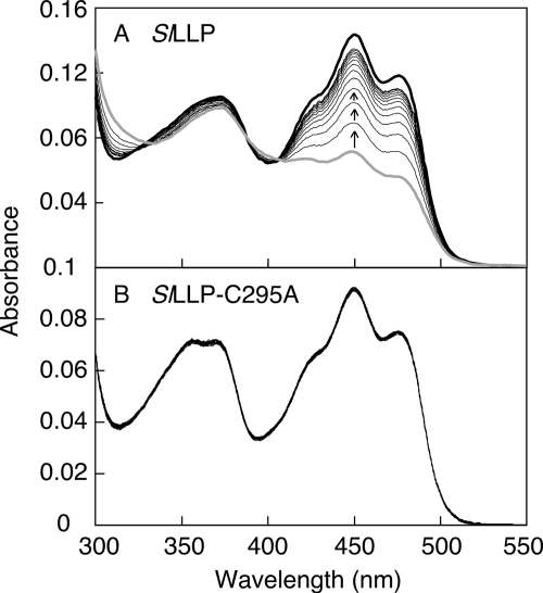 FIGURE 4.