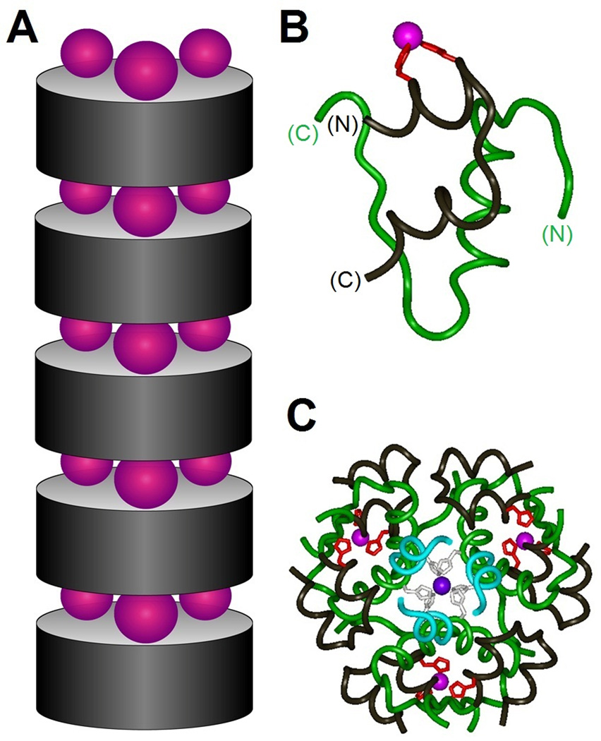 Figure 8